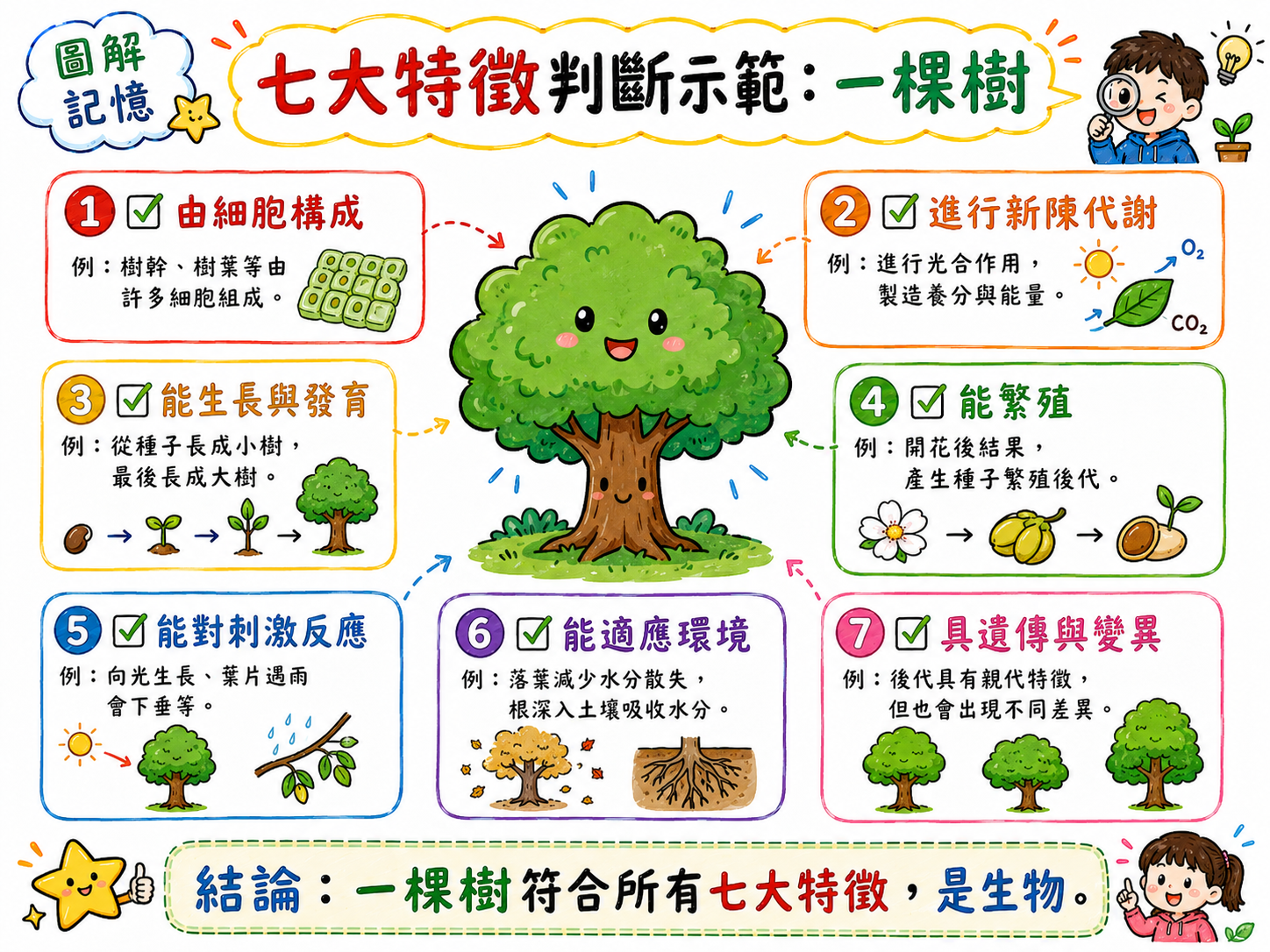 七大特徵判斷示範圖，以一棵樹為例，逐一檢查細胞、新陳代謝、生長、繁殖、反應、適應、遺傳變異。