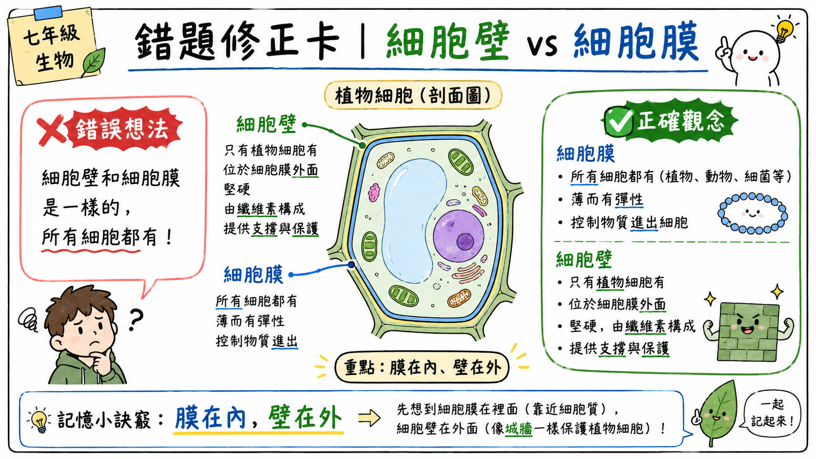 錯題修正卡，說明細胞膜和細胞壁的位置與功能差異。