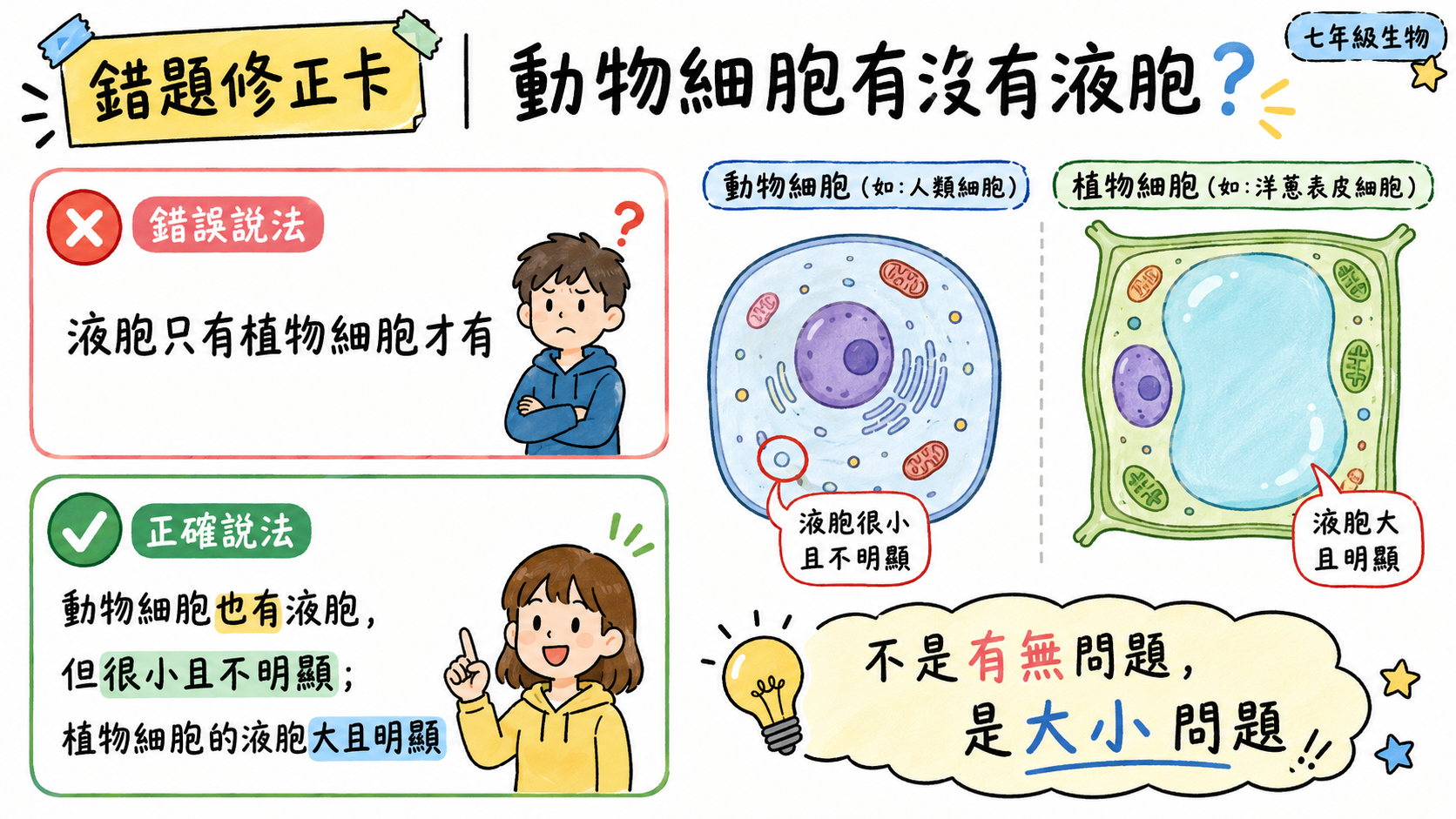 錯題修正卡，說明動物細胞有小且不明顯的液胞，植物細胞有大型明顯液胞。