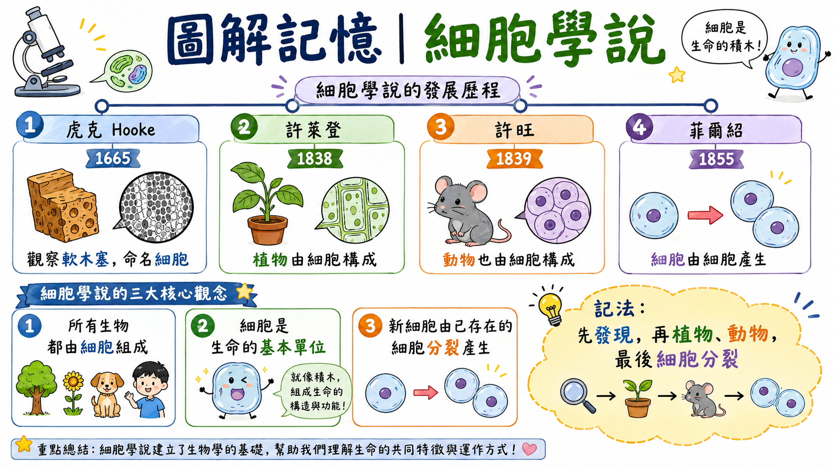 細胞學說發展圖，整理虎克、許萊登、許旺與菲爾紹對細胞學說的貢獻。