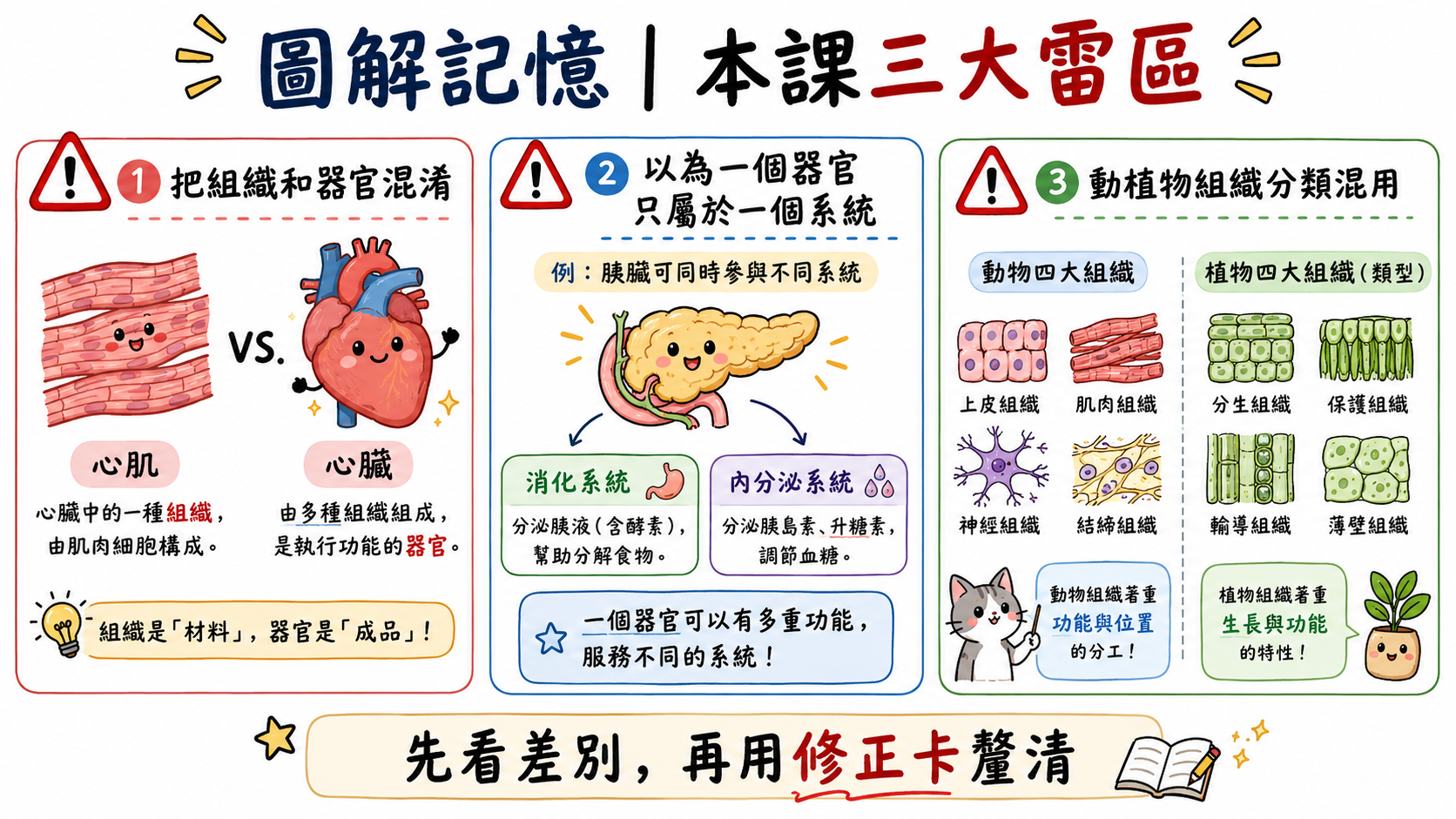 本課三大雷區總覽圖，包含組織和器官混淆、一個器官只屬於一個系統、動植物組織分類混用。