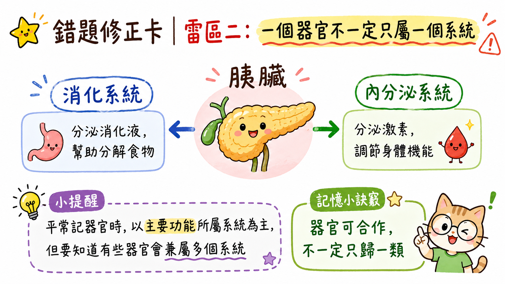 錯題修正卡，說明一個器官可能同時參與多個器官系統，例子為胰臟。