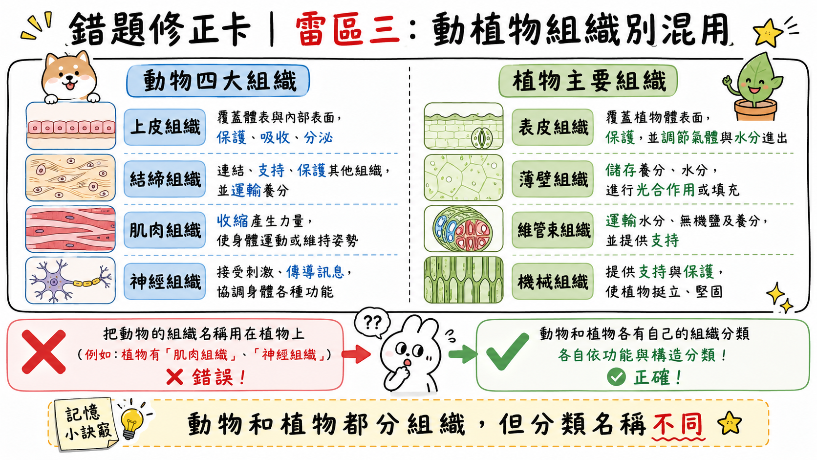 錯題修正卡，說明動物四大組織與植物主要組織分類不同，不能互相套用。