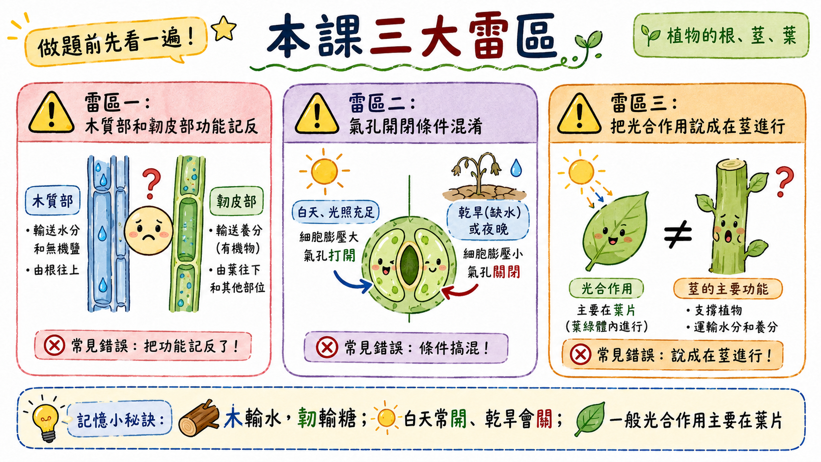 本課三大雷區總覽圖，包含木質部和韌皮部功能記反、氣孔開閉條件混淆、把光合作用說成在莖進行。