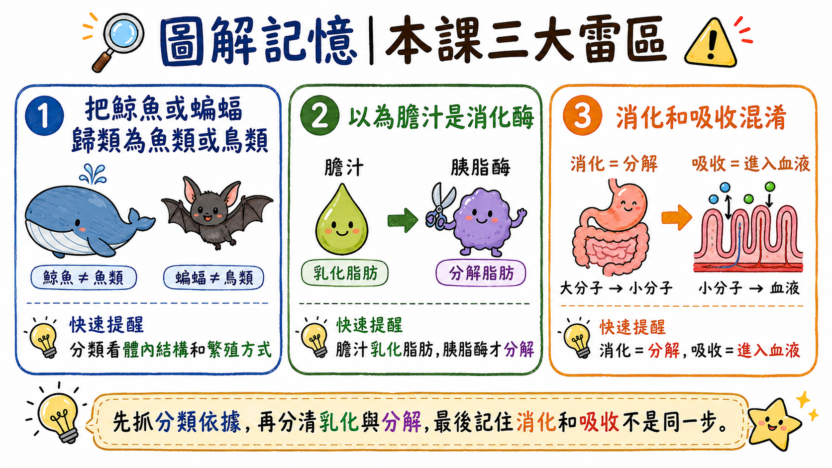 本課三大雷區總覽圖，包含鯨魚蝙蝠分類錯誤、膽汁不是消化酶、消化和吸收混淆。